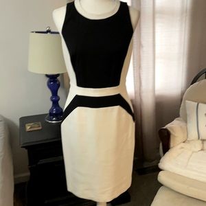 White and black Sheath